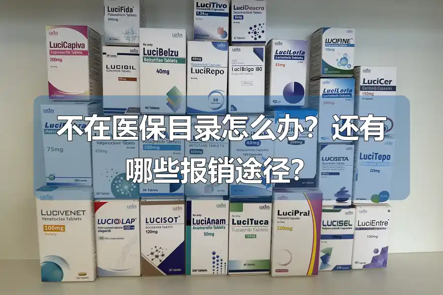 不在医保目录怎么办？还有哪些报销途径？